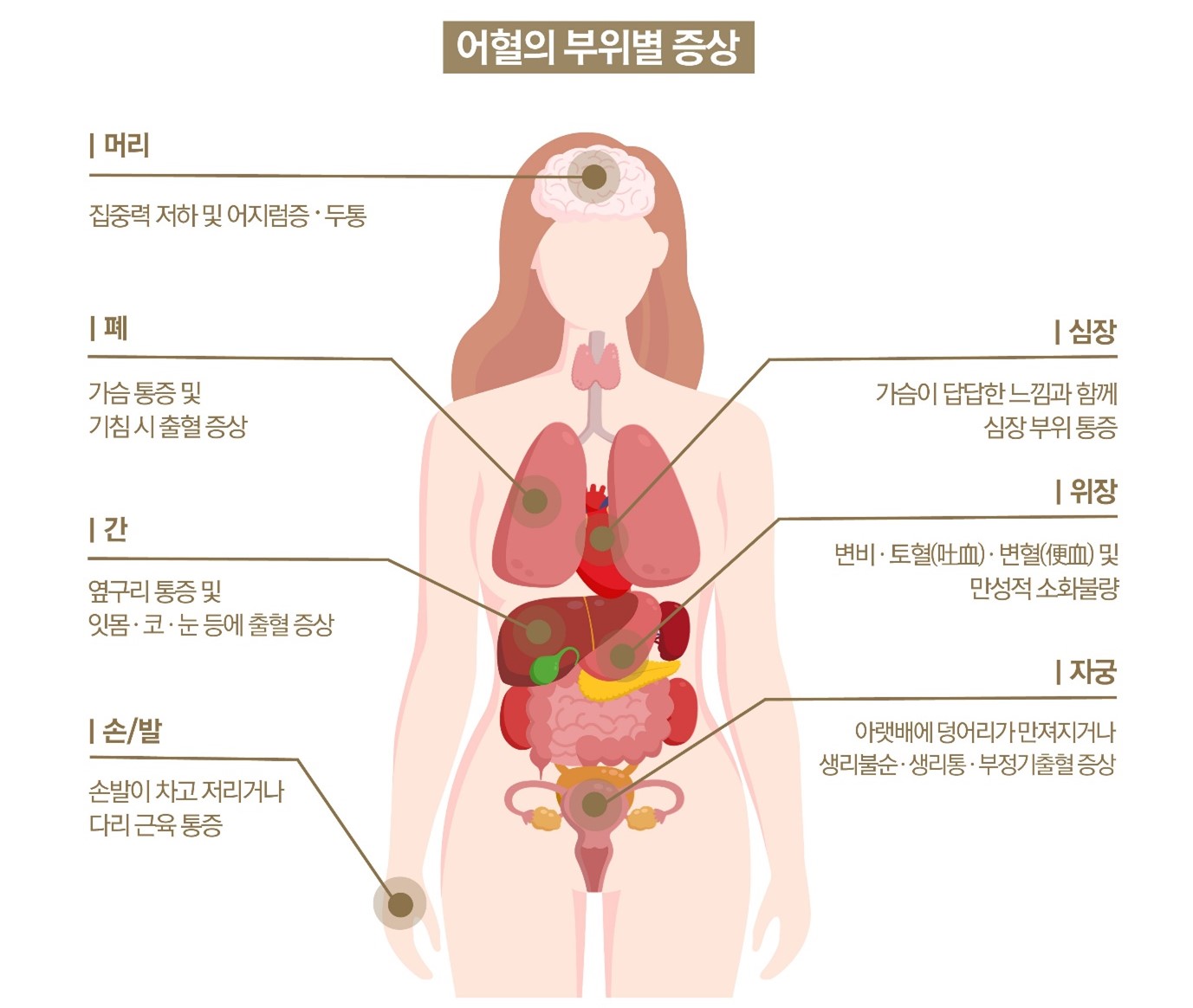 어혈5