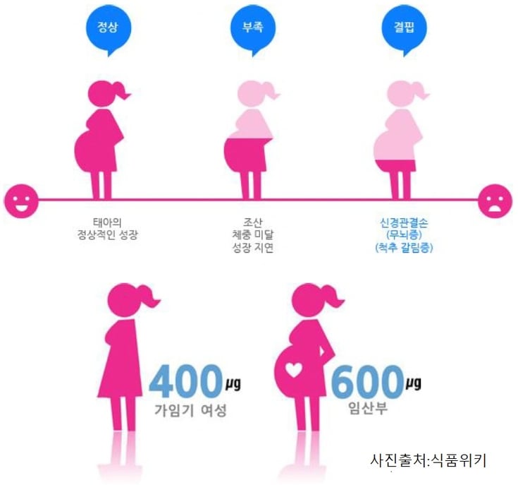 임산부엽산-1